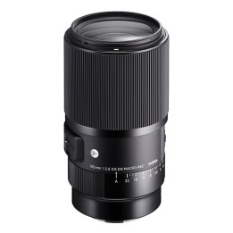 Sigma 105mm f2.8 DG DN Macro | Art Sony FE-mount